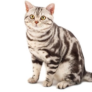 個人利用(ネット予約プラン)