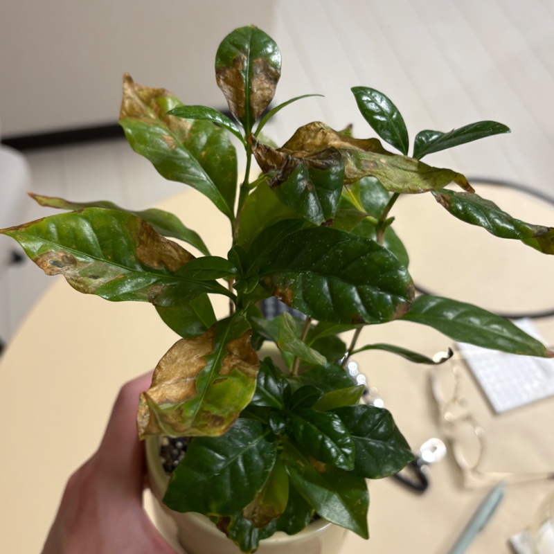 STEKiNA登録試験_現行版