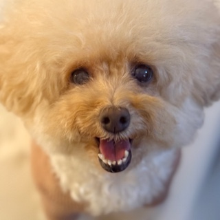 初回体験（オーナー）