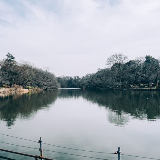 イイノテスト37