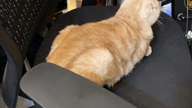 サロンの雰囲気2