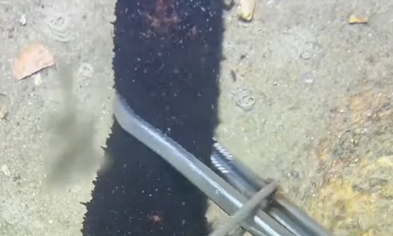 ミニアプリテストのサロン