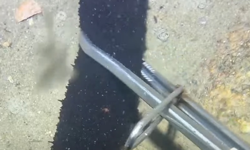 サロンの雰囲気2