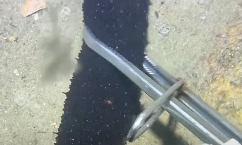 サロンの雰囲気6