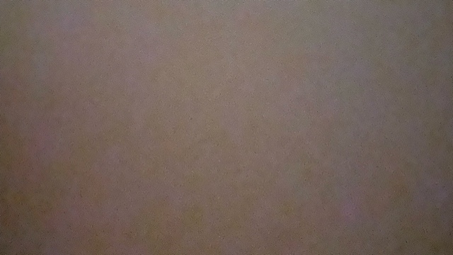 てすと