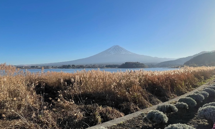 サロンの雰囲気6