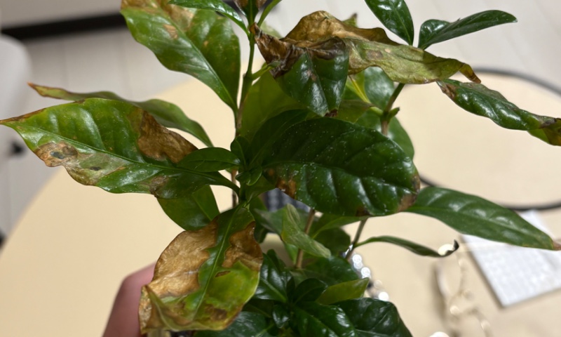 サロンの雰囲気4