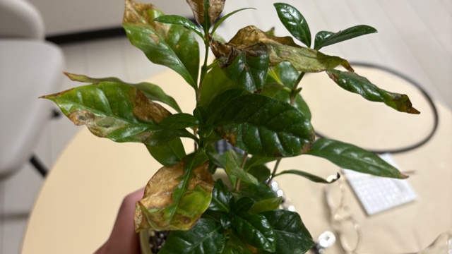 サロンの雰囲気4