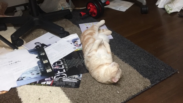 いまいてすとのサロン