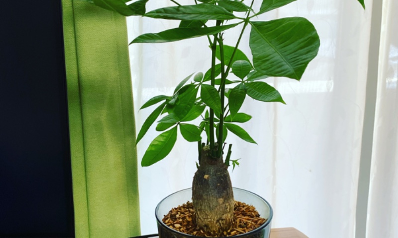 LiMEsalonなし_カルテ管理(個人)のサロン